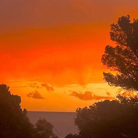Maison Classee Sur Le Golfe De St Tropez Σαιν-Τροπέ Εξωτερικό φωτογραφία