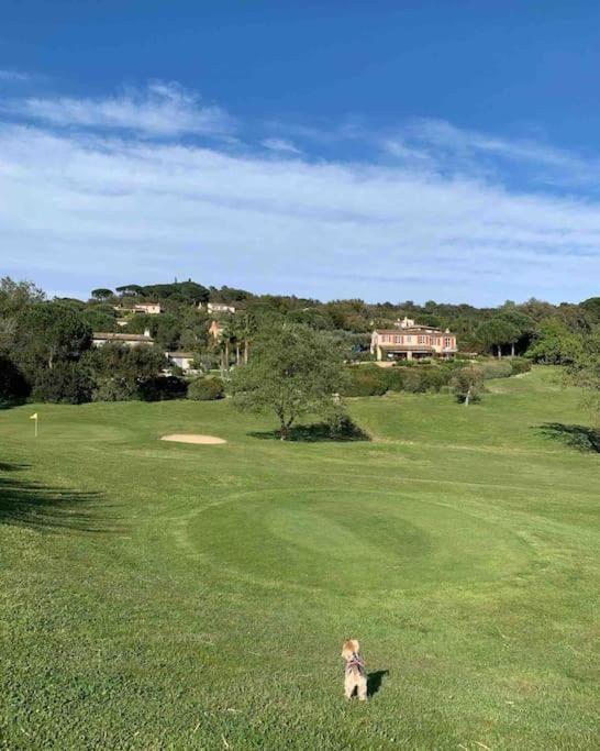 Maison Classee Sur Le Golfe De St Tropez Σαιν-Τροπέ Εξωτερικό φωτογραφία