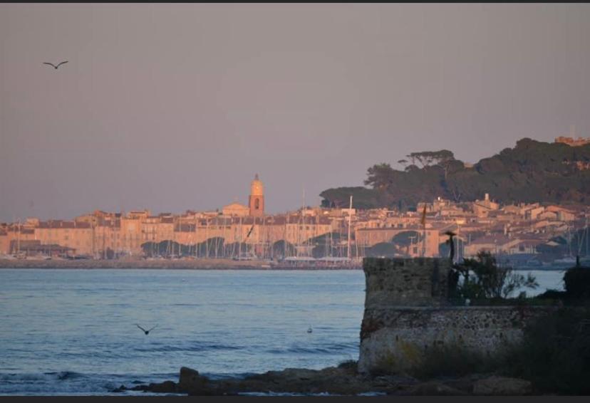 Maison Classee Sur Le Golfe De St Tropez Σαιν-Τροπέ Εξωτερικό φωτογραφία